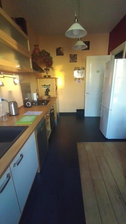 Le Grand Charpentier Apartamento Mulhouse Exterior foto